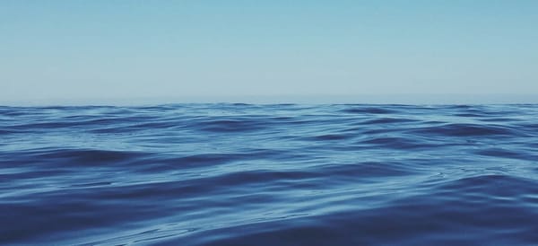 Covenant Relationship #8